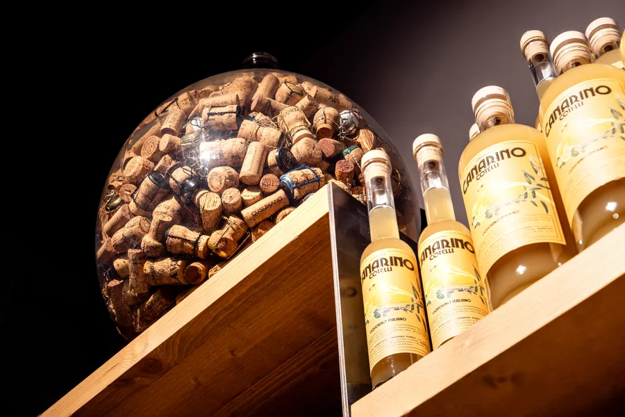 Scatto progetto LO.VIN49